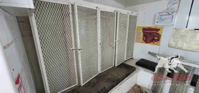 2000 Doghouse 30ft