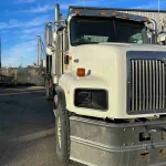 2007 International Paystar