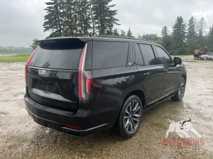 2021 CADILLAC Escalade Sport Platinum