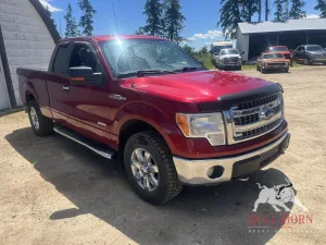 2013 FORD F-150 Xlt