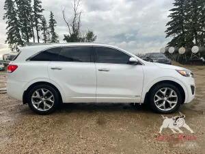 2018 Kia sorento SX