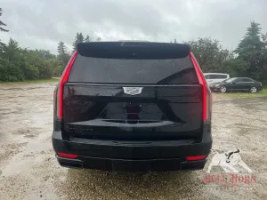 2021 CADILLAC Escalade Sport Platinum