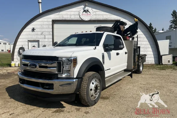 2019 FORD F-550