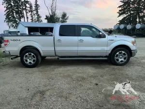 2011 FORD F-150