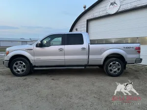 2011 FORD F-150