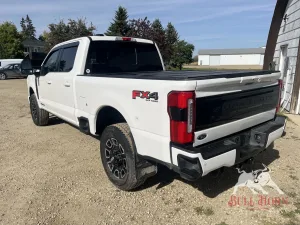 2025 FORD F-350 F-Series Super Duty-Single Rear Wheels