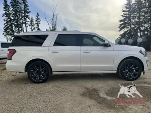 2018 FORD Expedition MAX Platinum