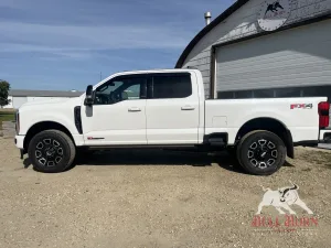 2025 FORD F-350 F-Series Super Duty-Single Rear Wheels